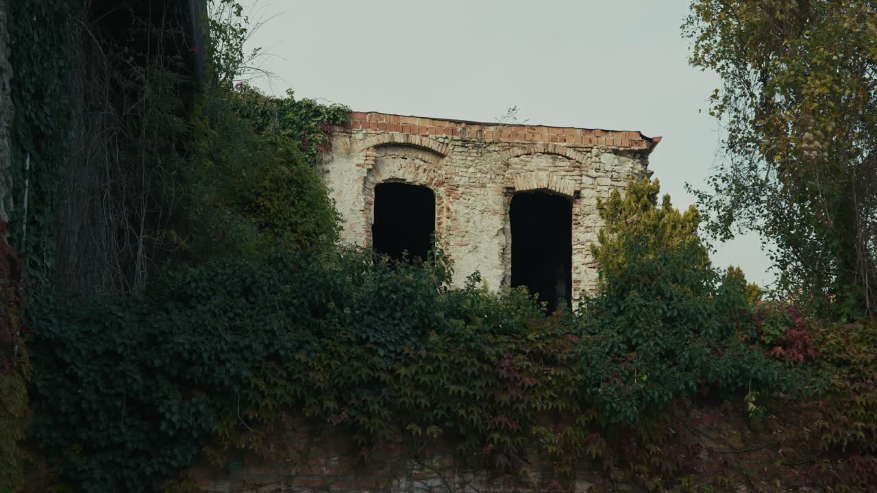 Overgrown brick ruin with empty windows and ivy in Bratislava
