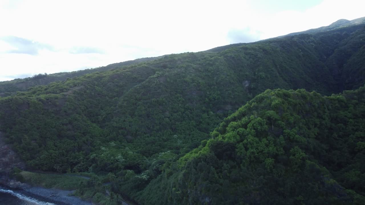 imágenes aéreas de un drone de un bosque en maui, hawai cerca de la puesta de sol