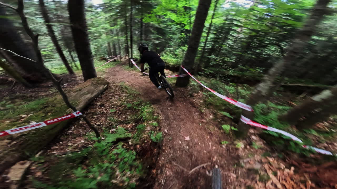 POV Mountain Biking Downhill on a Forest Trail