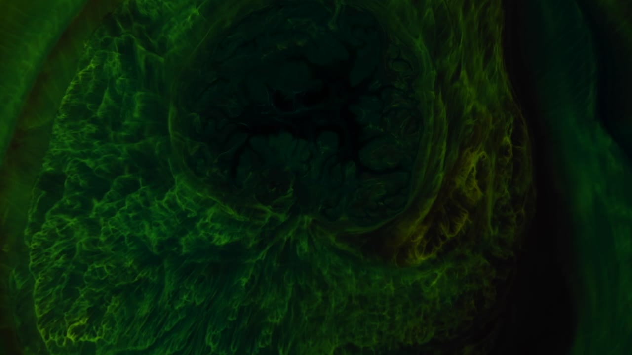 el ominoso verde oscuro palpitante se expande y toma el control, alejando al encantador verde encaje: un videoclip totalmente natural y abstracto
