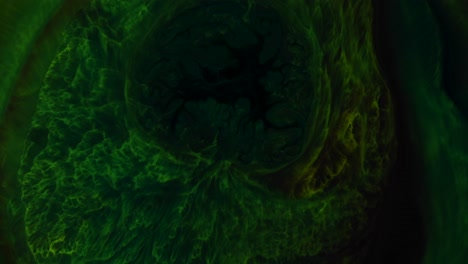 el ominoso verde oscuro palpitante se expande y toma el control, alejando al encantador verde encaje: un videoclip totalmente natural y abstracto