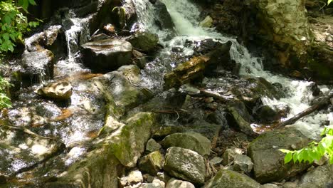 small cascades in a forest in ontario, canada, medium shot pan right