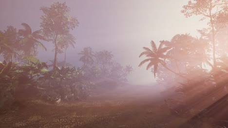 Sunset-Beams-through-Palm-Trees