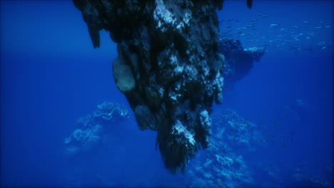 a stunning underwater scene with a coral reef and a school of fish