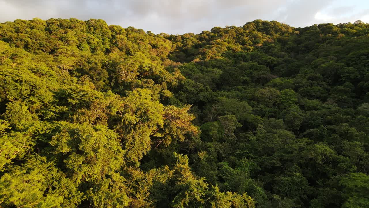 vista aérea de 4k del vuelo por una selva tropical en la ladera de una colina en centroamérica durante una cálida y colorida puesta de sol