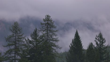 niebla en las montañas de westglacier en montana