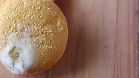 panes de hamburguesa con moho