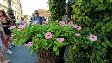 los turistas pasan por delante de las flores vibrantes en nápoles.