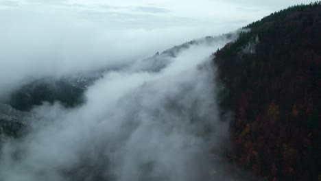 drone aerial, misty forest autumn after rain