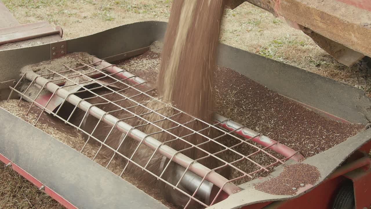 Transferring canola from a truck into the bin with an auger
