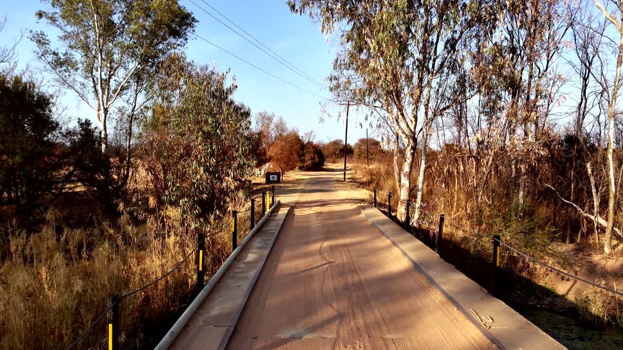 Low drone flight over narrow river bridge toward Blue Gum trees in dry landscape