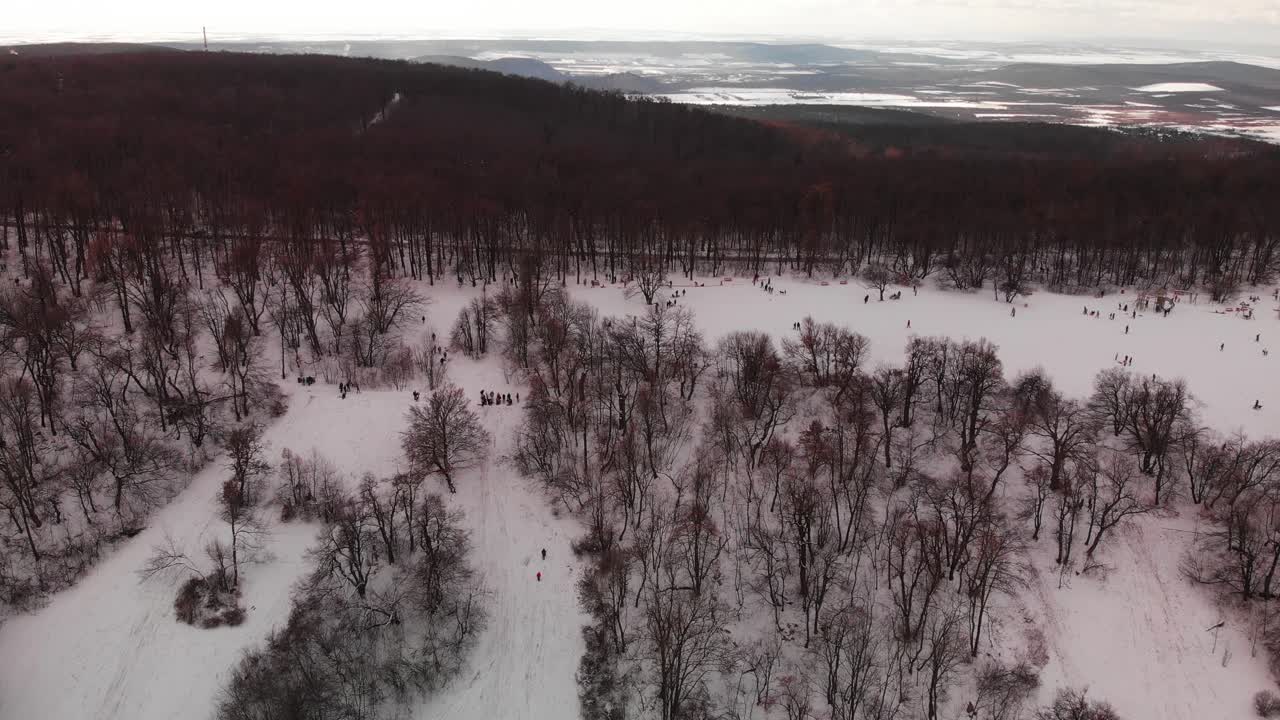 Horizontal aerial pan with emerging above a beautiful glade in the forest on a snowy hill revealing people playing, sledging and hiking