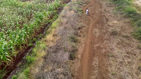 farm-farmland-landscape-rural