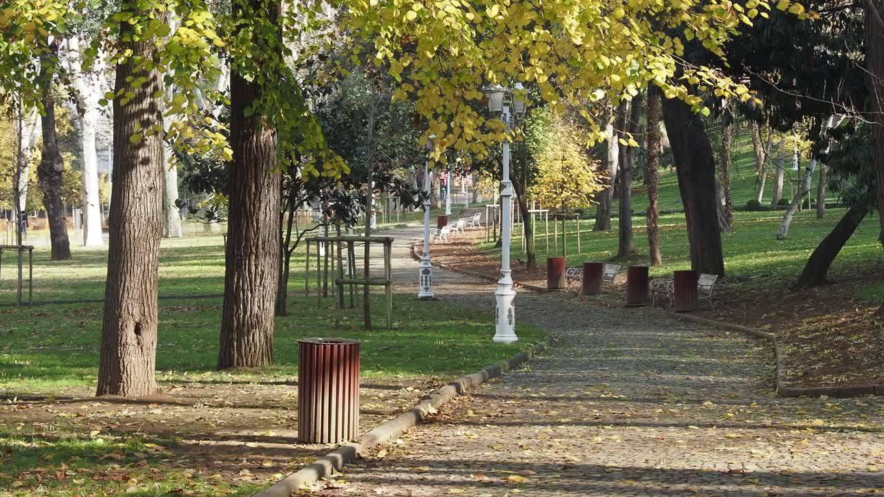 escena del parque de otoño