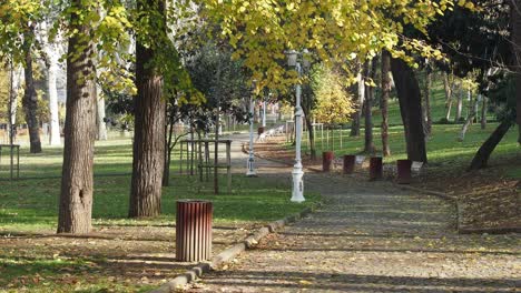 autumn park scene