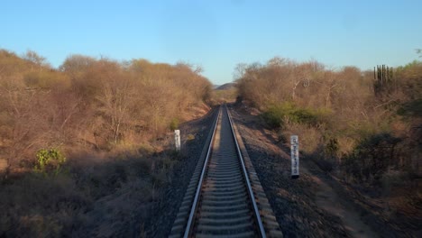 the view from the window in a moving train through arid scenery