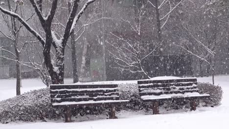 Starker-Schneefall-In-Einem-Park-Mit-Parkbänken