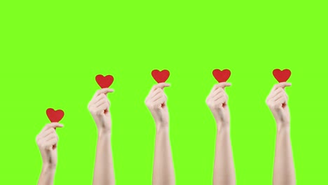 blogger mujer sostiene en las manos pequeños corazones rojos en la pantalla verde. gustos en la red social. día de san valentín, día internacional de la mujer, amor