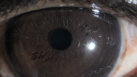 human brown eye and closing extreme close up view