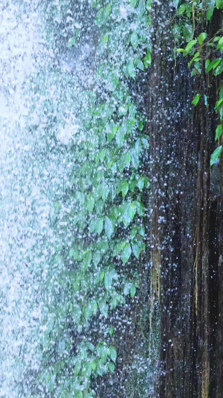 A vibrant waterfall flows through dense greenery in Dorrigo, NSW, captured with dynamic motion and natural lighting