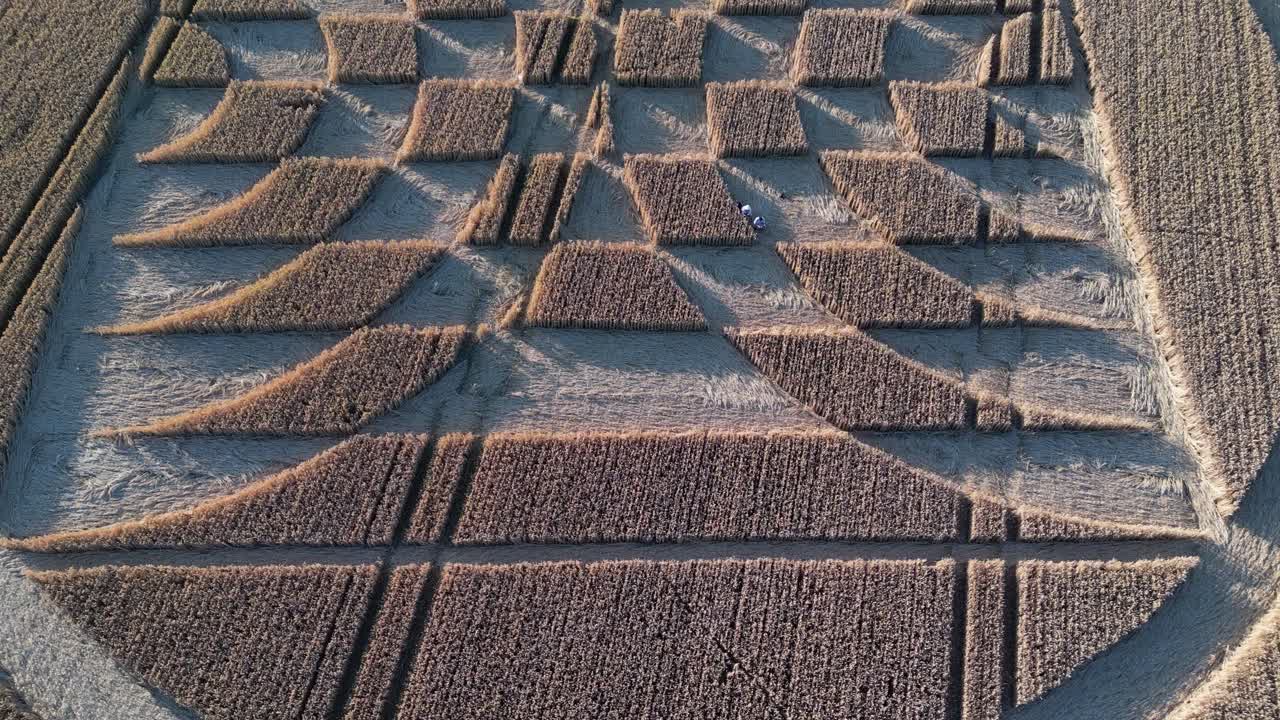 micheldever 역을 향해 내려가는 조감도는 농업 분야를 가로질러 위로 기울어지는 신비한 기하학적 미스터리 서클 모양을 향합니다.