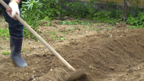 person in black boots cultivating soil with a shovel for planting paper mulberry