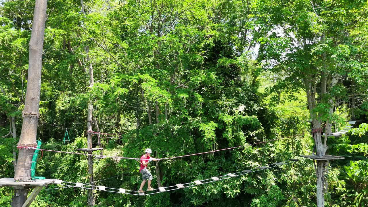 Person Walking on Treetop Walkway in Forest
