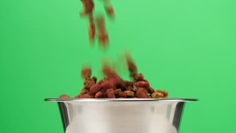 pouring dry dog food into metal bowl close-up. granules falling into dish on green background. feeding domestic animals, treats for puppies. crunchy meal for pedigree cats. pet shop and delivery