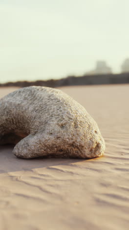 stone manatee sculpture on a beach