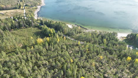 Schwedische-Küste-Mit-Grünem,-üppigem-Wald-Und-Weißem-Sandstrand-In-Der-Herbstsaison