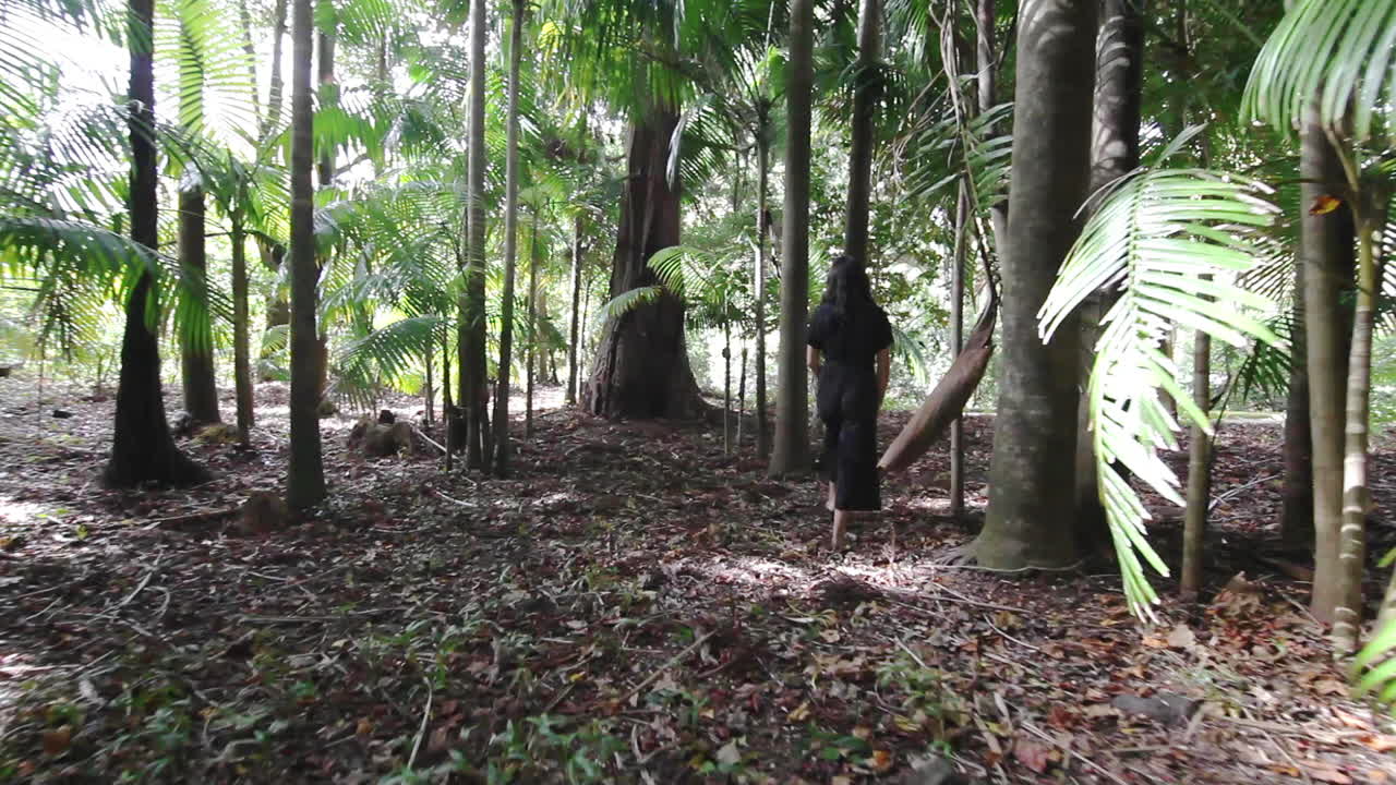 아조레스 섬 포르투갈에 들어가는 추방된 라틴계 여성