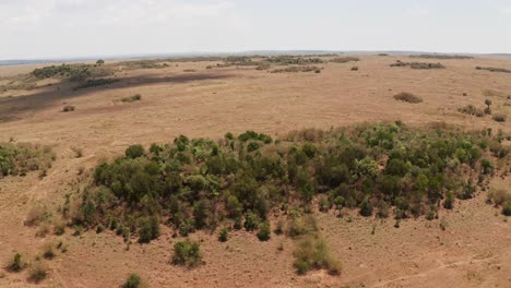 africa aerial drone shot of dry arid landscape in masai mara in kenya, high up view of vast african scenery from above, wide angle establishing shot of thicket of bushes and savanna