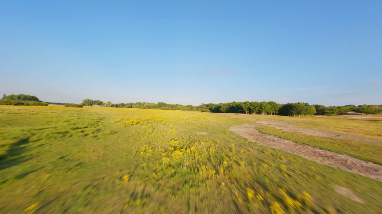 vuelo de drones fpv a baja altura sobre el suelo en la reserva natural de zelanda, países bajos