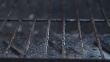 spraying cleaner on dirty bbq roster and scrubbing it with steel brush - extreme close