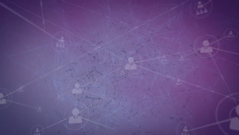 animación de la red de conexiones sobre fondo púrpura