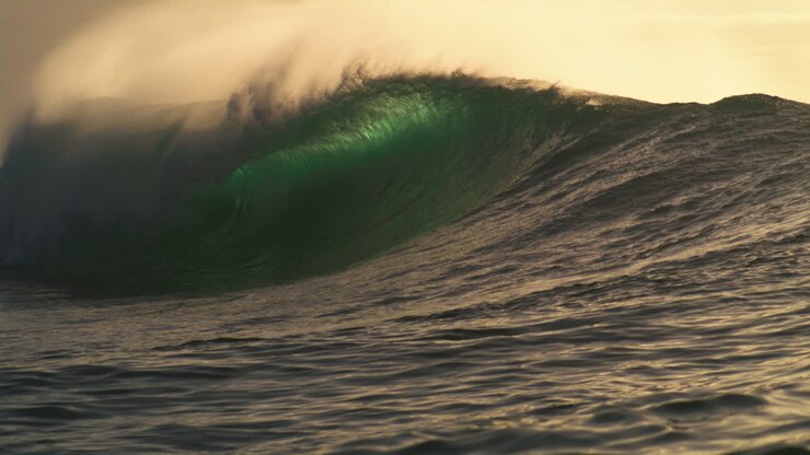 Big wave glistens green backlit as ocean spray lifts off top at sunset