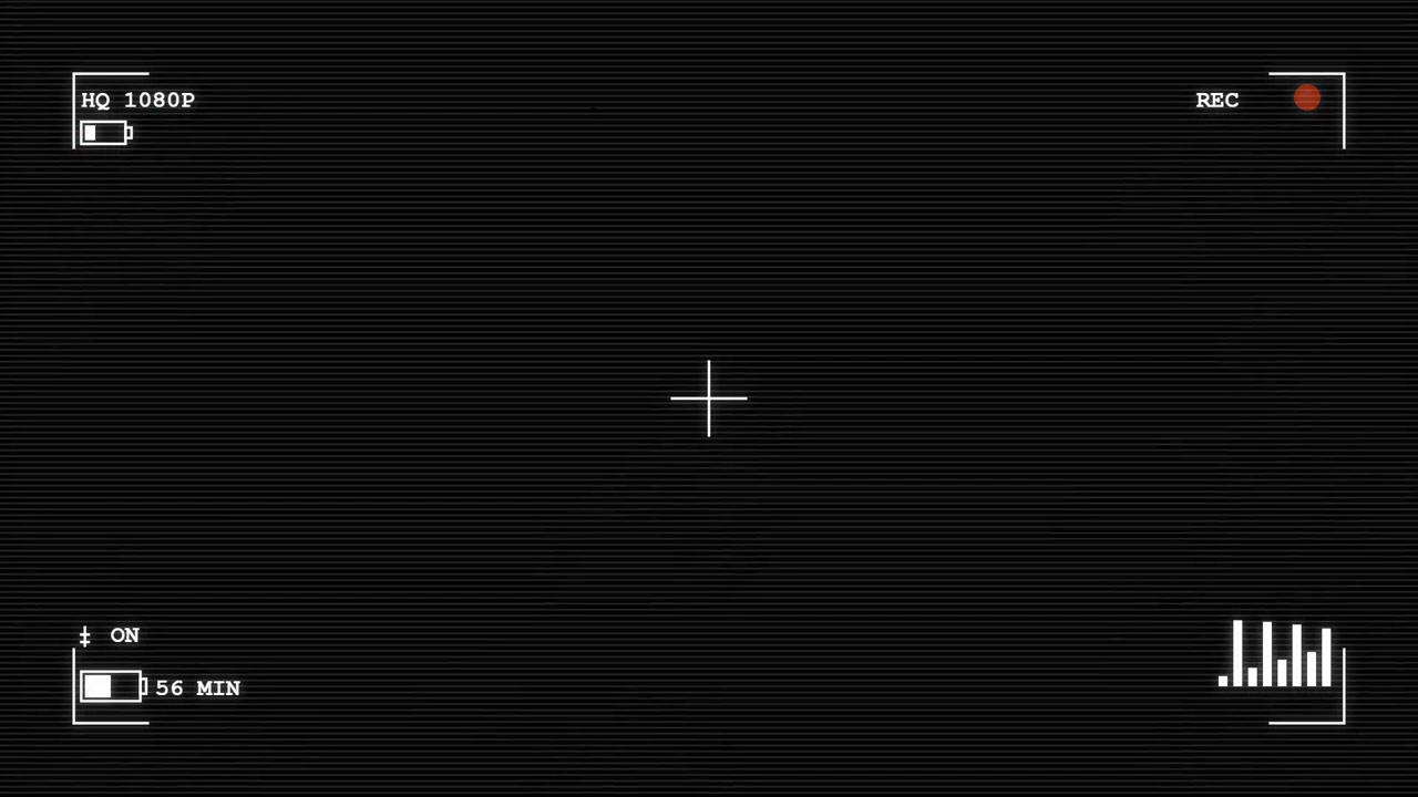 Digital Camera Viewfinder Overlay with Recording Interface
