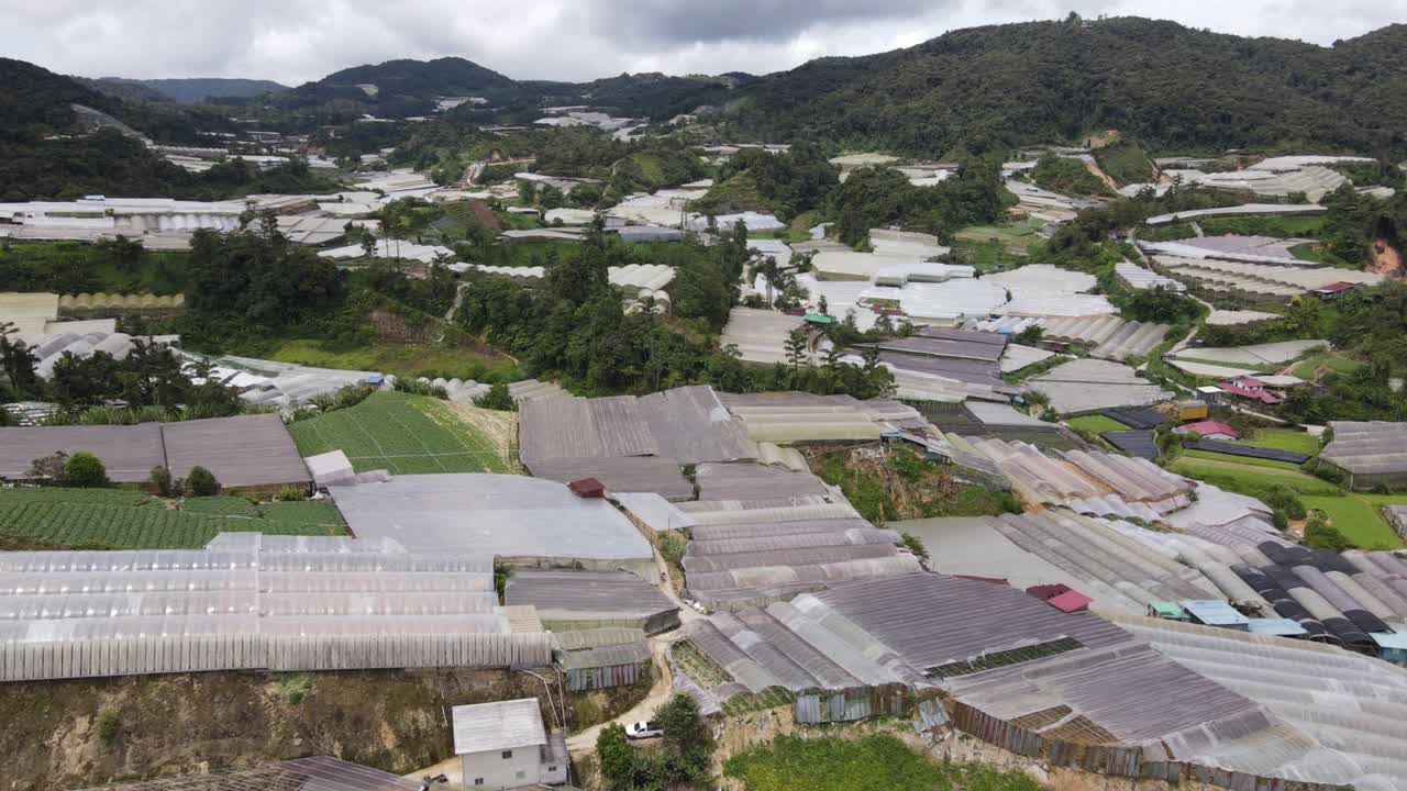 말레이시아의 카메론 하이랜드 지역 내의 브린창 지역의 일반 풍경