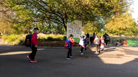 kids walking together at melbourne zoo entrance