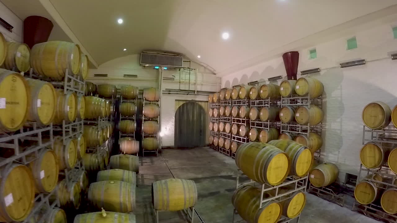 la bodega de barriles en la famosa granja de vinos