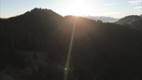 fly above pine forest in the mountains towards the sun