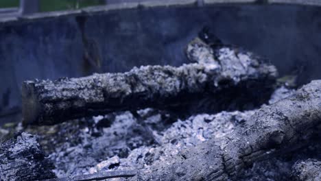 tilting up to show a burnt out log smoldering in the evening