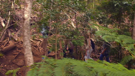 Family-walking-through-a-forest,-side-view-through-foliage