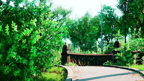 camino de piedra a través de un parque verde y pacífico