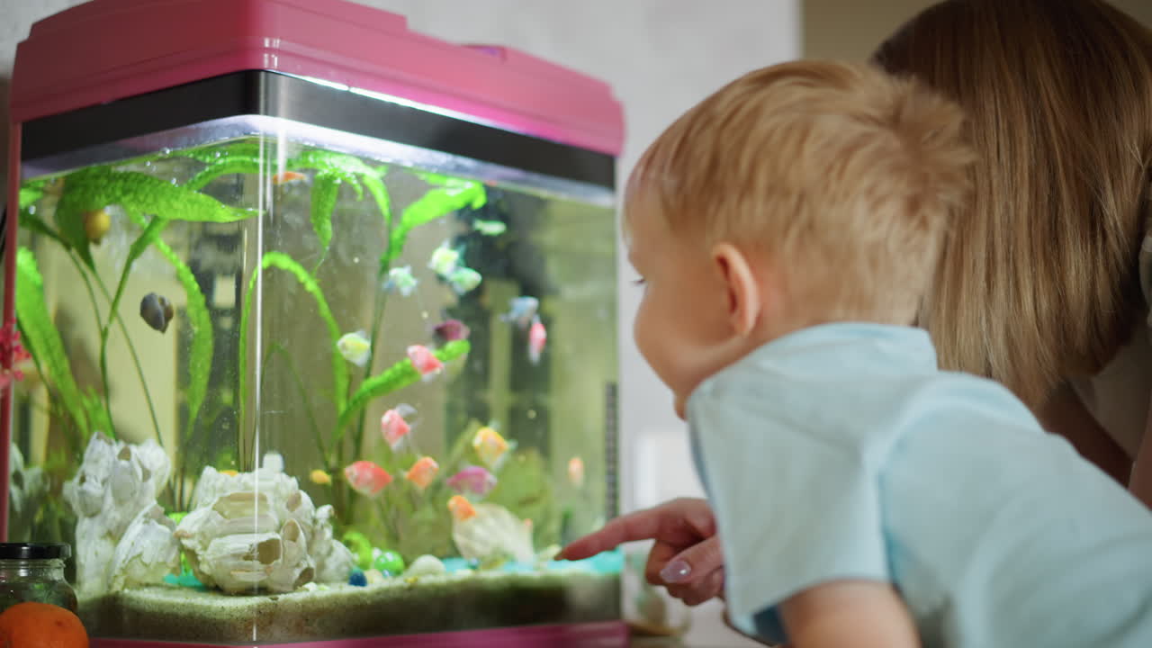 Chłopiec z mamą pochyleni nad oświetlonym akwarium, wskazujący palcem kolorową rybę pływającą wśród roślin i kamieni, okazujący ciekawość, zachwyt i podekscytowanie podczas odkrywania podwodnego życia