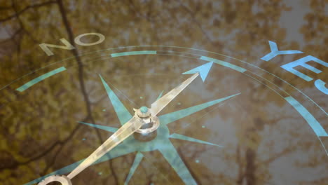 animation of compass with yes and no text over trees