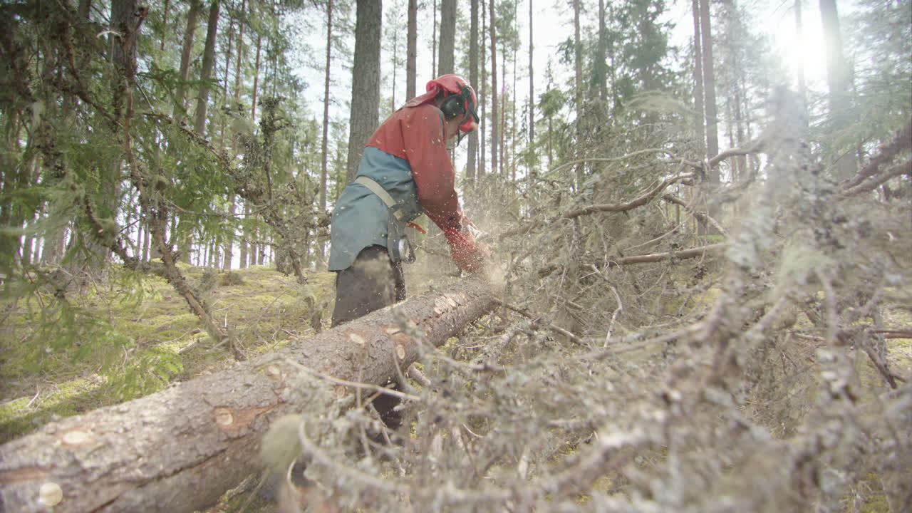 느린 동작, 백라이트 - 나무 조각이 카메라 렌즈를 향해 날아갑니다, 스웨덴