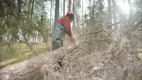 cámara lenta, retroiluminada - astillas de madera vuelan hacia la lente de la cámara, suecia