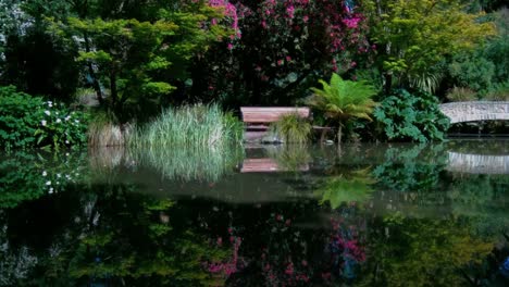 hermosos colores reflejados en un jardín de aguas tranquilas en un día de verano - christchurch