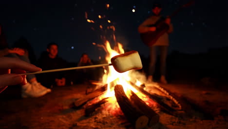 Friends Roasting Marshmallows and Playing Guitar Around a Campfire at Night